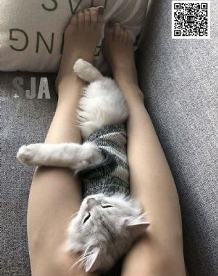 一区二区三区四区av_剧情片高清在线